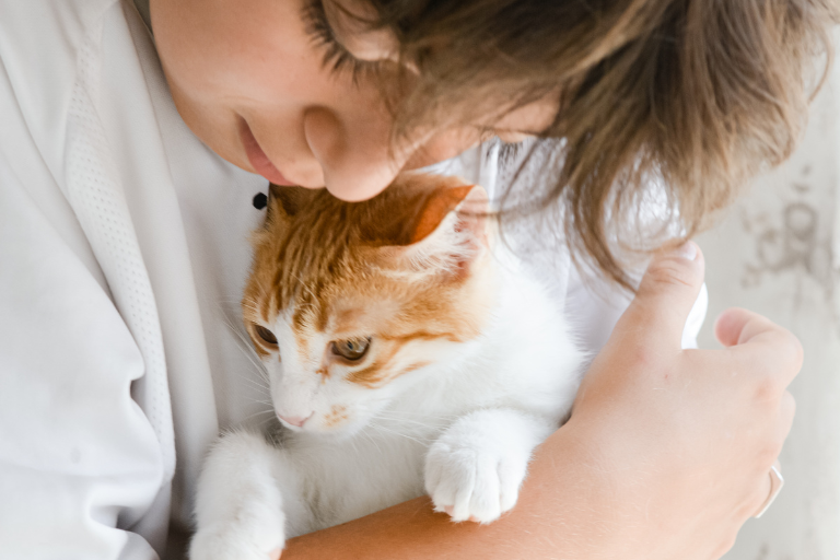 ¿Por qué ronronea mi gato?